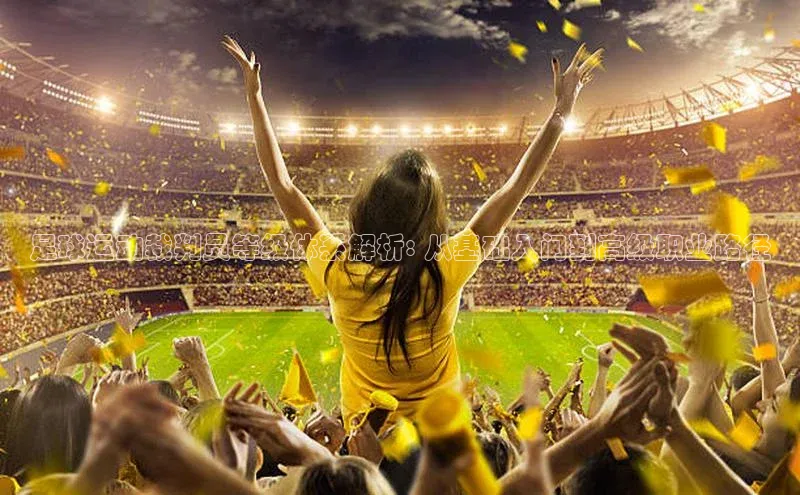 恒盛平台登录颐驰 06足球运动裁判员等级体系解析: 从基础入门到高级职业路径