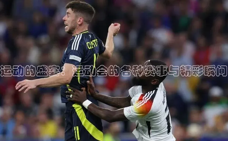 恒盛注册官网入口京东运动的盛宴：运动会的各种赛事与精彩瞬间