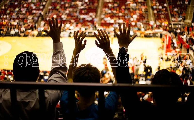 恒盛平台登录入口网页版百度游戏：小型但绝妙的运动赛事世界