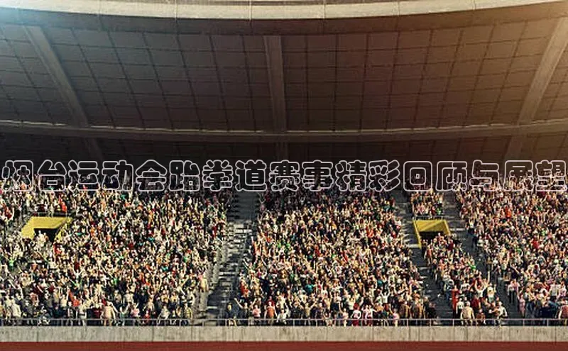 烟台运动会跆拳道赛事精彩回顾与展望