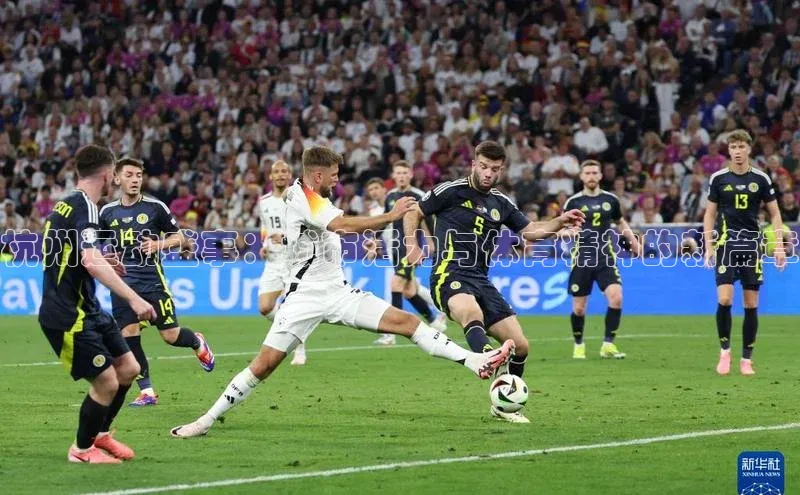 杭州运动盛事：城市活力与体育精神的新篇章