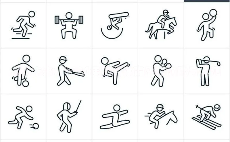 预见未来：2024年最新体育盛事前瞻与预测