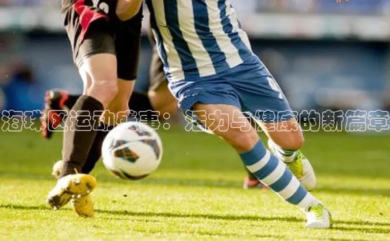 海珠区运动盛事：活力与健康的新篇章