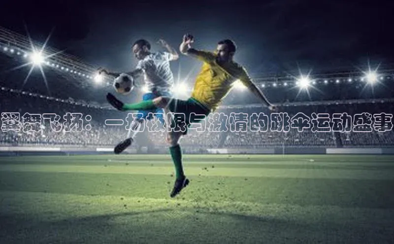 翼舞飞扬：一场极限与激情的跳伞运动盛事