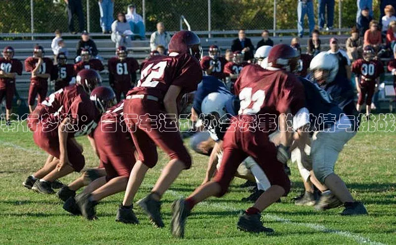 骑行梦想：自行车运动协会赛事的激情与挑战