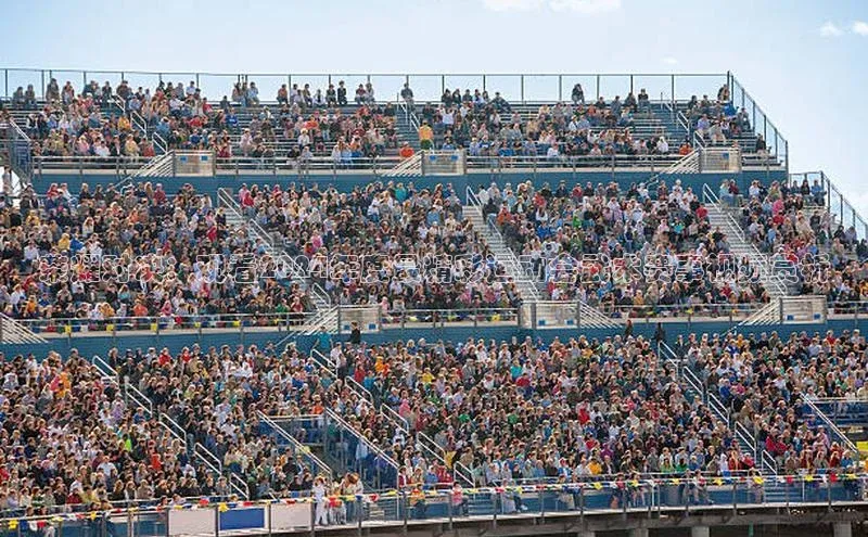 荣耀对决：观看2024年度最精彩运动会武术赛事视频赏析