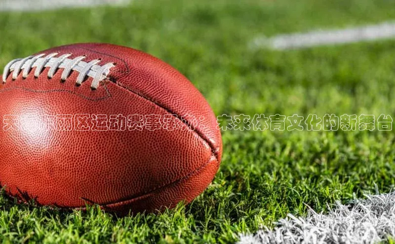 天津东丽区运动赛事承办：未来体育文化的新舞台