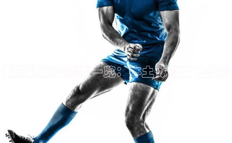 衡阳县运动赛事一览：本土体育文化盛景