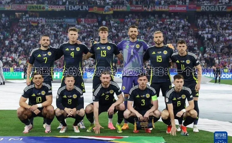 剖析大型运动会的潜在风险与应对策略：一个案例研究