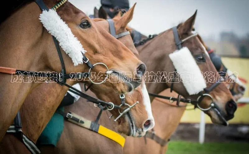 恒盛注册官网入口