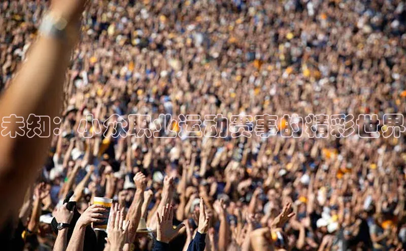 未知：小众职业运动赛事的精彩世界